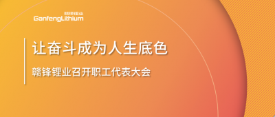 贛鋒鋰業(yè)召開職工代表大會 堅(jiān)持向奮斗者傾斜更多資源